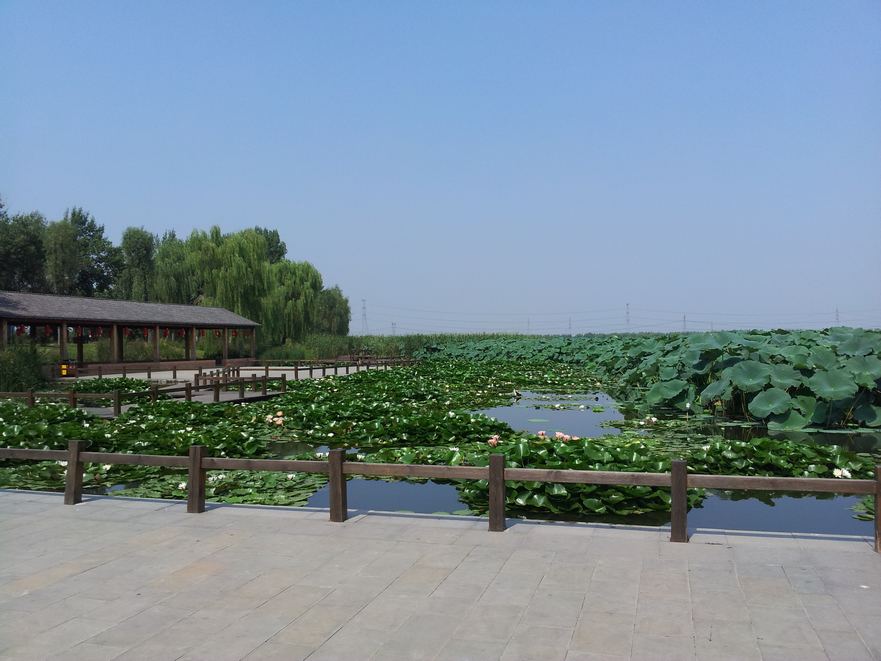 20140827_110408.jpg