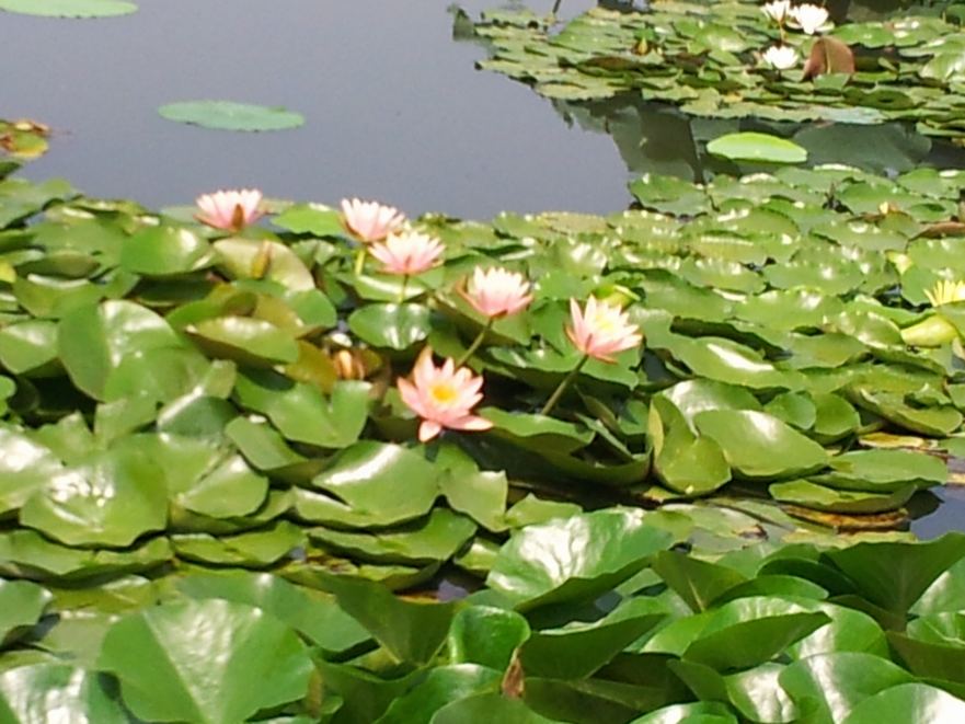 20140827_110459.jpg