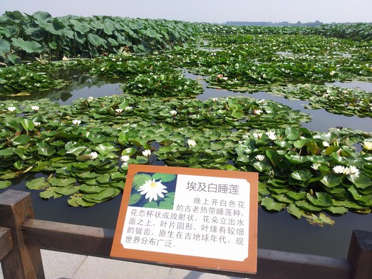 20140827_110545.jpg