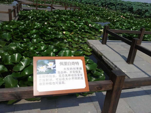 20140827_110628.jpg