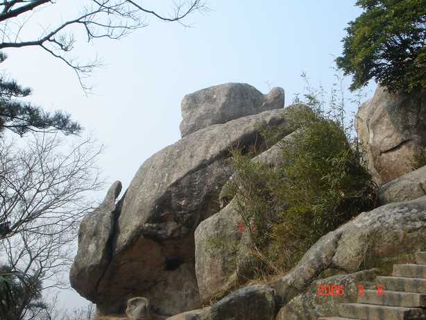DSC00460.JPG
