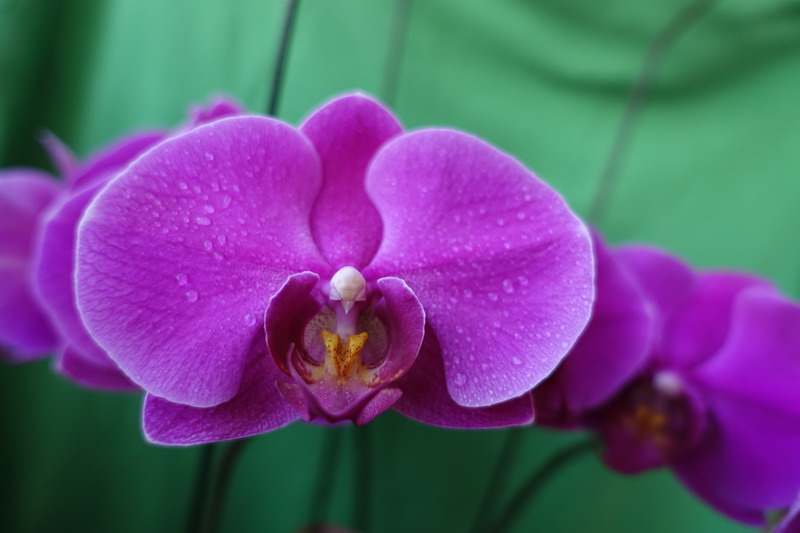 DSC_07.JPG