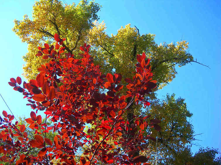 DSCN7650-3.jpg