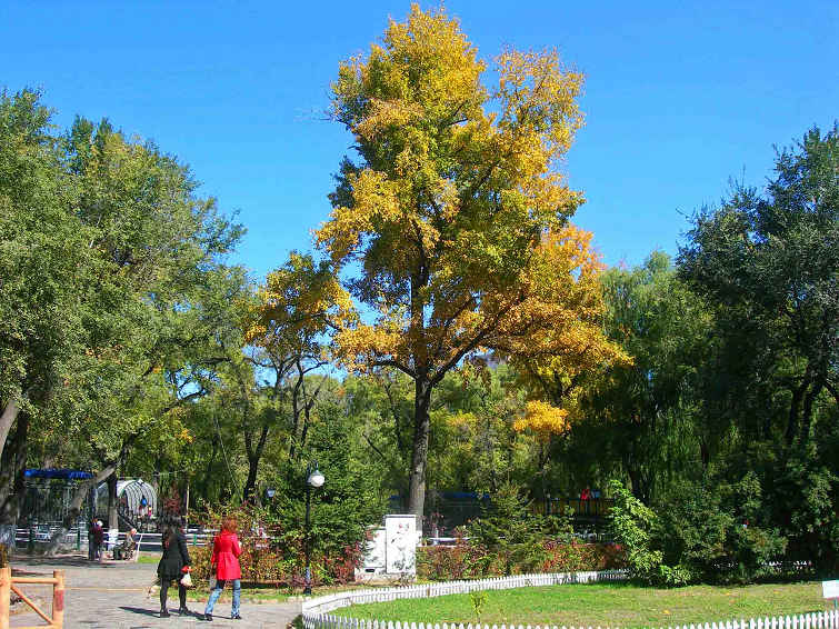 DSCN7673-3.jpg