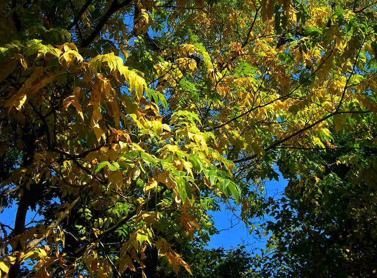 DSCN7700-3.jpg