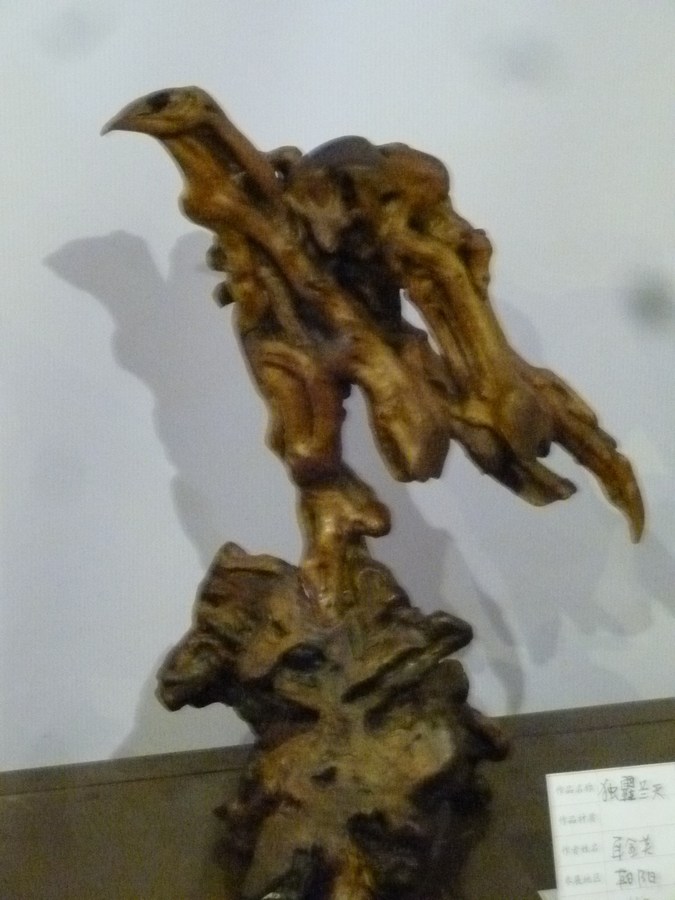 P1090754_ת.JPG