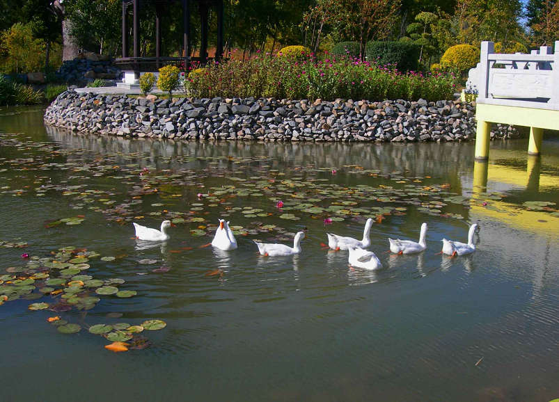 4-DSCN8006-3.jpg