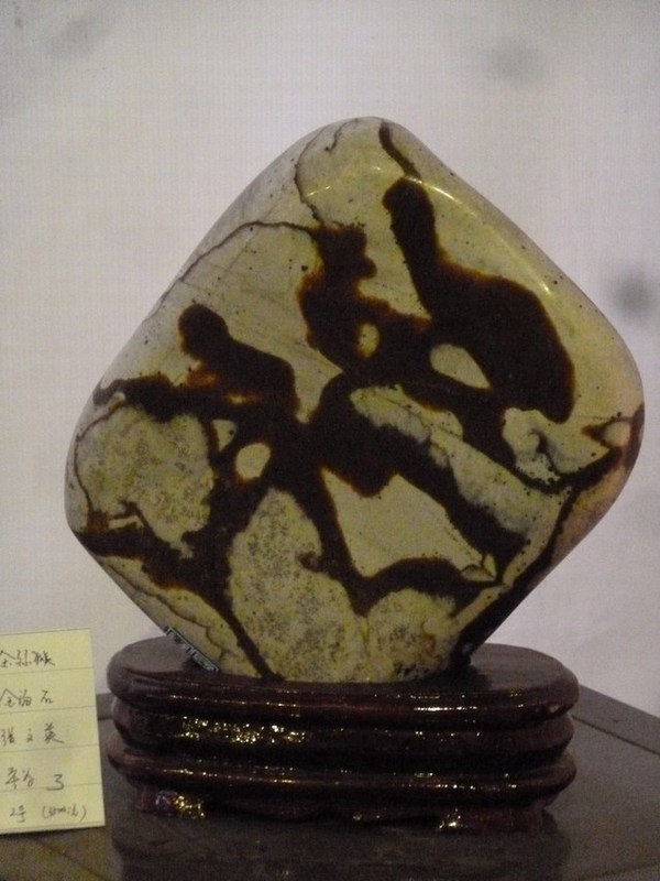 P1090761_ת.JPG