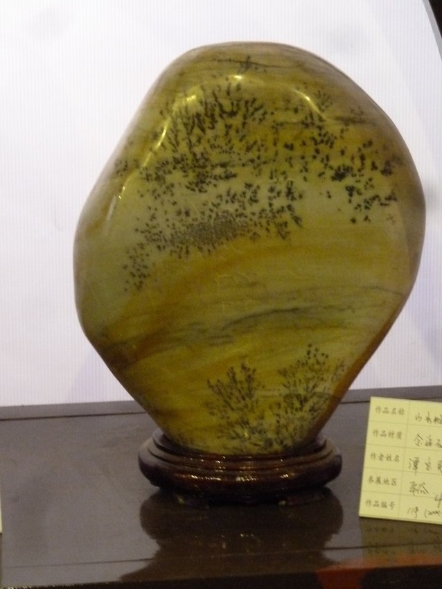 P1090766_ת.JPG