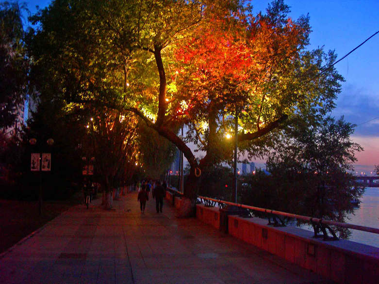 DSCN7629-3.jpg