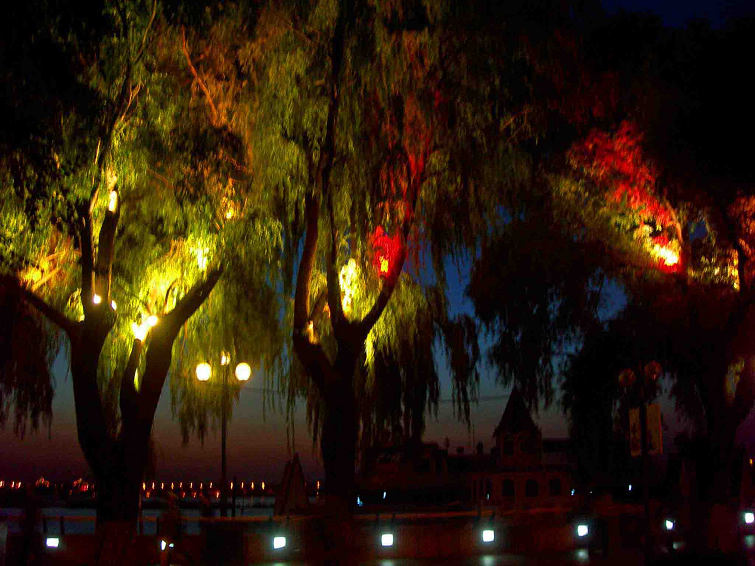 DSCN7640-3.jpg