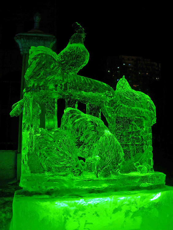 DSCN5305-3.jpg