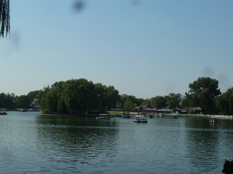 P1090997.JPG
