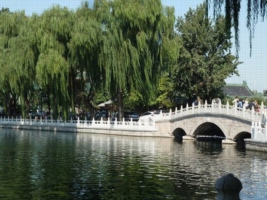 P1100002.JPG