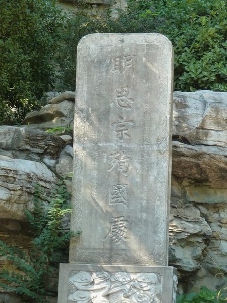 P1090923_ת.JPG
