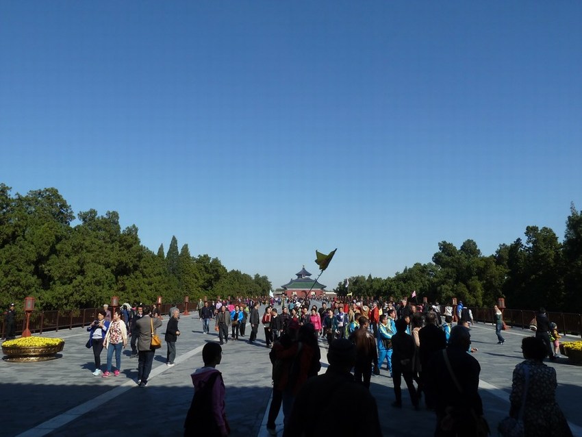 P1100131.JPG