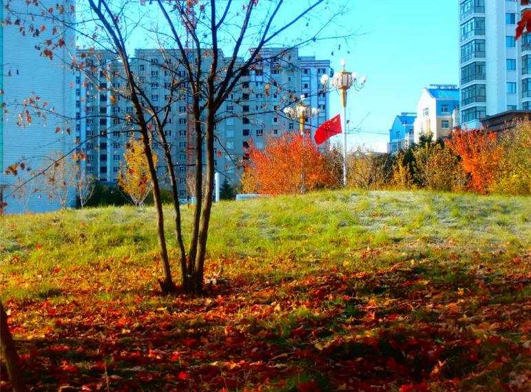 360ͼ20141018113625234_conew1.jpg