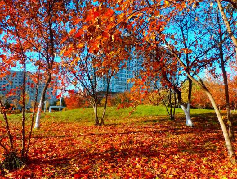 360ͼ20141018113743234_conew2.jpg