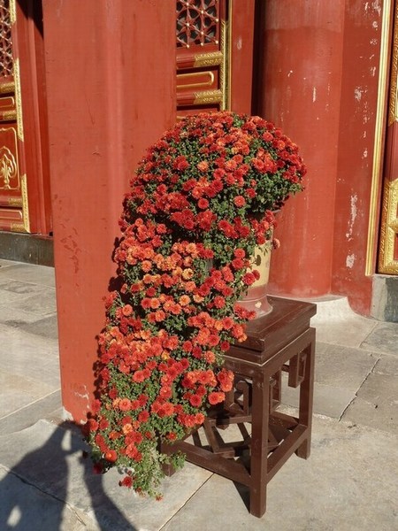 P1090750_ת.JPG