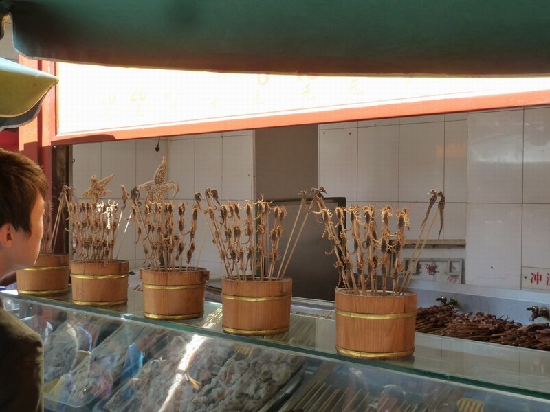P1090575.JPG