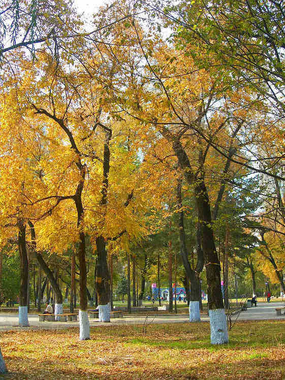 DSCN8755-3.jpg