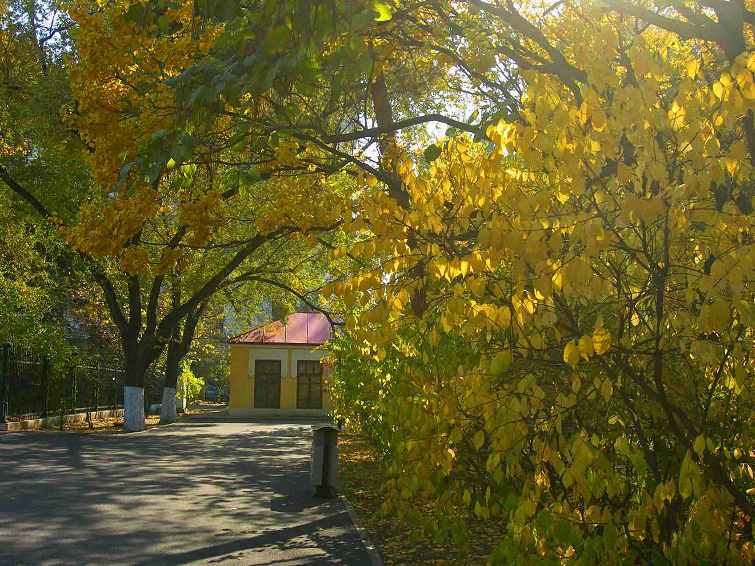 DSCN8933-3.jpg