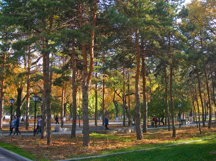 DSCN8959-3.jpg