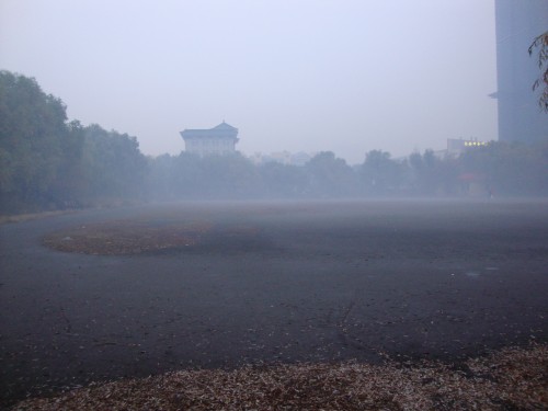 DSC04057_conew1.jpg