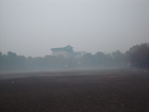 DSC04063_conew1.jpg