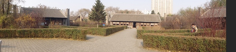 DSC00425.JPG