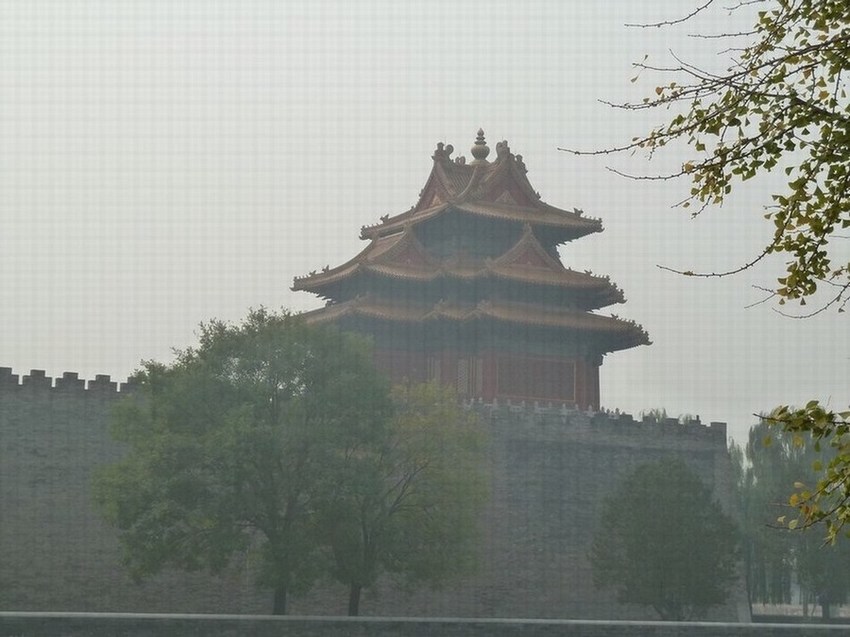 P1100378.JPG