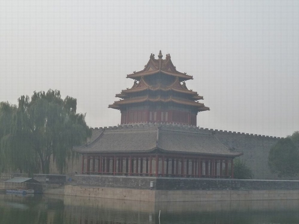 P1100395.JPG