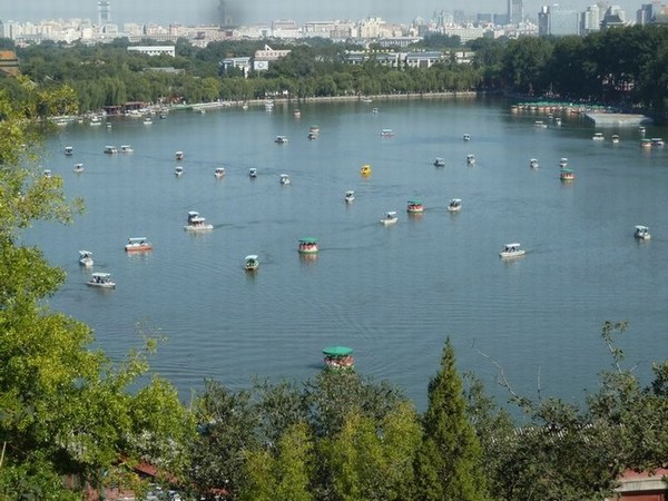 P1090881.JPG