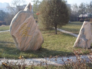 PA281038.JPG