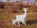 picture_0487.jpg