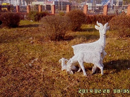picture_0488.jpg
