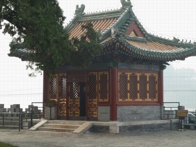 P1100341.JPG