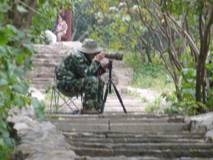 P1100641.JPG