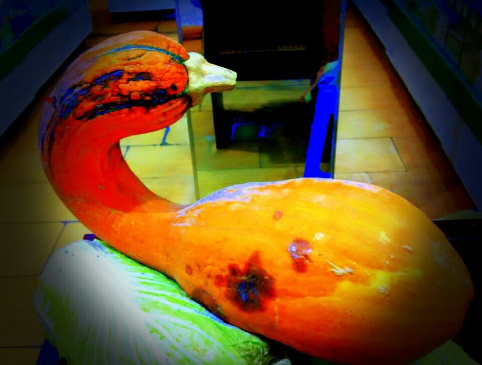 QQͼƬ20141101105621.jpg