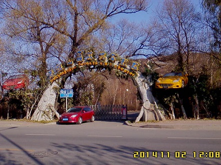 picture_0565.jpg