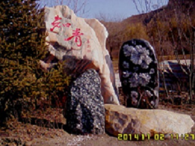 picture_0552.jpg