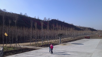 IMG_20141102105857.jpg