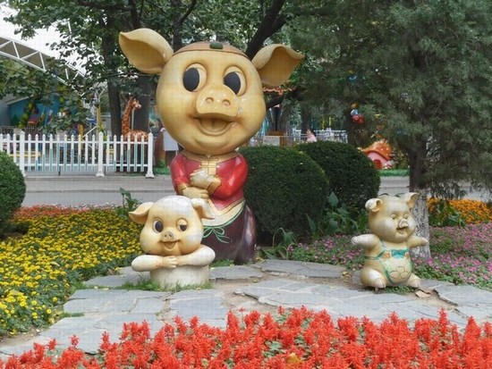P1100545.JPG