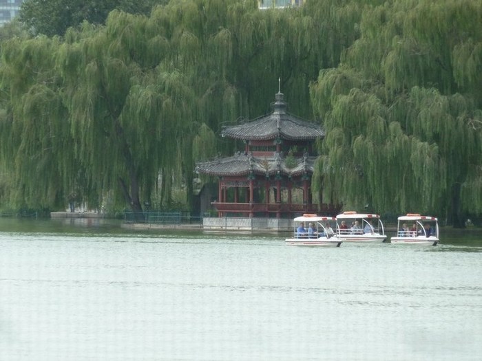 P1090141.JPG