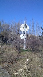 IMG_20141102113254.jpg