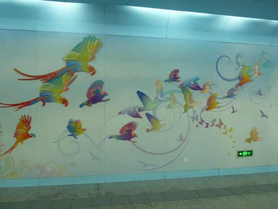 P1100800.JPG