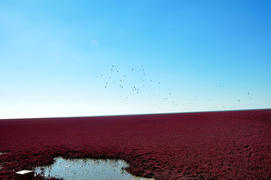 DSC_0252.JPG