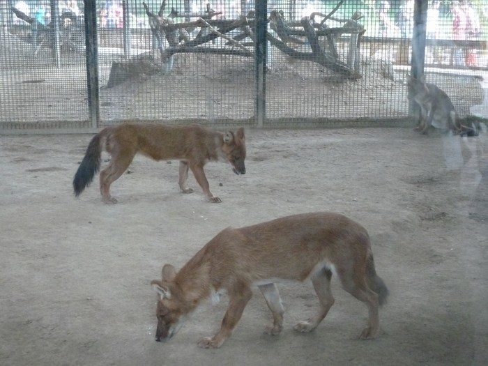 P1090080.JPG