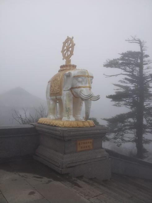 20140420_103136.jpg
