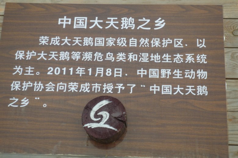 P1020739_conew1.jpg